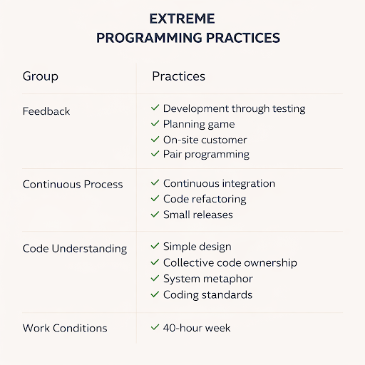 Extreme programming as an immune system in E-commerce